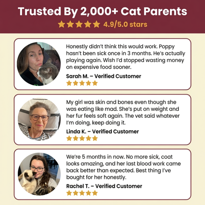 MeowSupps - Taurine Supplement