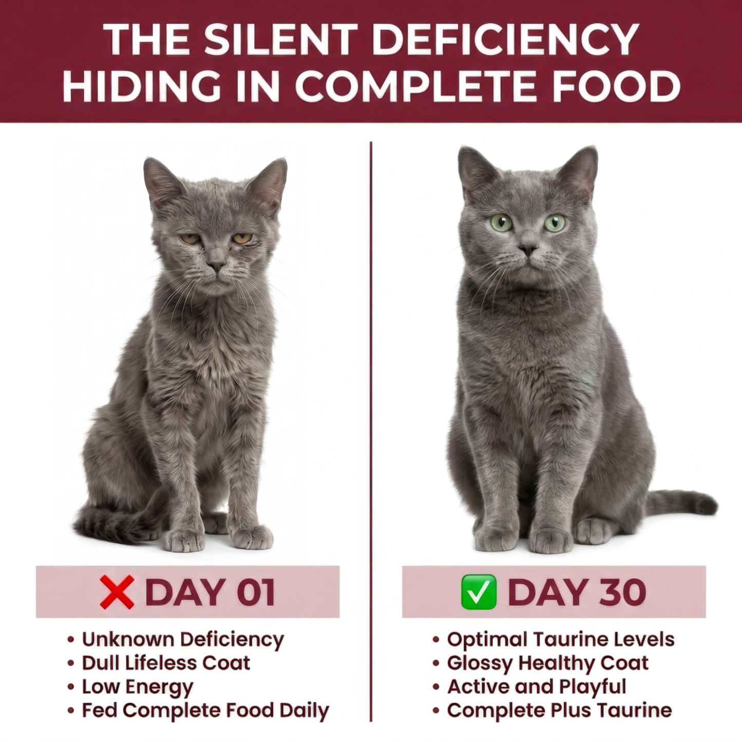 MeowSupps - Taurine Supplement