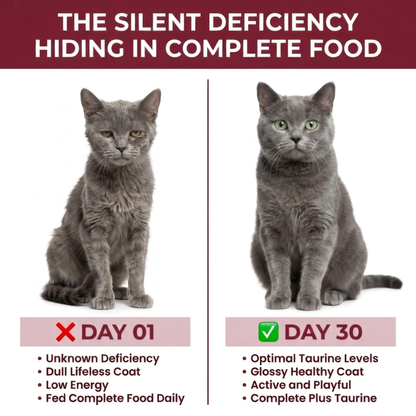 MeowSupps - Taurine Supplement